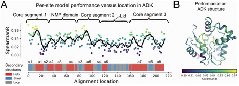 Predicting optimal growth temperatures of bacteria using learned structural information from a single protein | brveco | RMH | Scoop.it