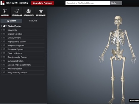 3 outils en ligne pour découvrir le corps humain | Time to Learn | Scoop.it