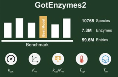 GotEnzymes2: expanding coverage of enzyme kinetics and thermal properties | nar | RMH | Scoop.it