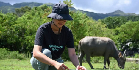 Greenpeace sounds alarm on microplastics ingested by Hong Kong wildlife - Raw Story | Operation Deimos | Scoop.it