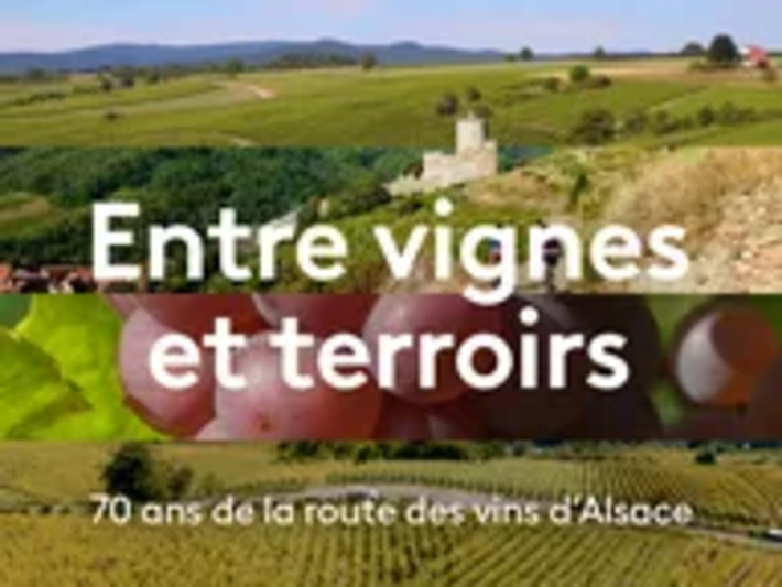 REPLAY. Revivez l'&eacute;mission sp&eacute;ciale sur les 70 ans de la Route des vins d'Alsace | Th&eacute;matique Gastronomie et Oeno | Scoop.it