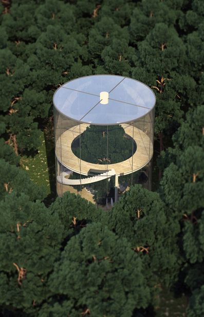 Tree in House: Glass Cylinder Wraps Five-Story Fir in Forest | Art, Design & Technology | Scoop.it