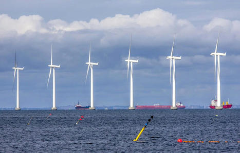 Eolien en mer : Pourquoi le B&eacute;glais Valorem se raccorde-t-il au projet de parc au large de l'&icirc;le d'Ol&eacute;ron ? | Les &eacute;co-activit&eacute;s en Gironde | Scoop.it