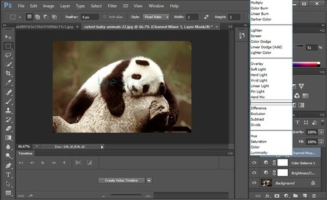 adobe photoshop cs6 free download for windows 10 64 bit