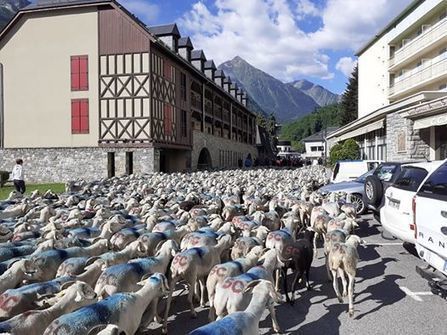 En partance pour la montagne du Moudang | Vallées d'Aure & Louron - Pyrénées | Scoop.it