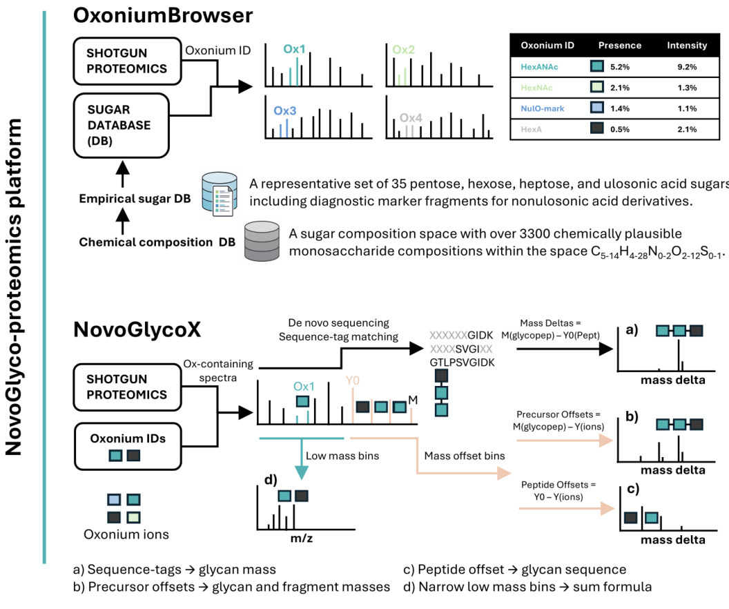 NovoGlyco: mapping protein glycosylation in pro...