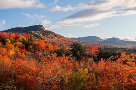 Rural New England Counts on Foliage Tourism, but the Future of Fall Colors Is Uncertain | by Julia Tilton | DailyYonder.com | @The Convergence of ICT, the Environment, Climate Change, EV and HEV Transportation & Distributed Renewable Energy | Scoop.it