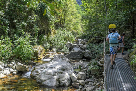 Comment le Covid-19 a relancé les randonnées en Occitanie | Activités de Pleine Nature, tourisme vert en  Occitanie | Scoop.it