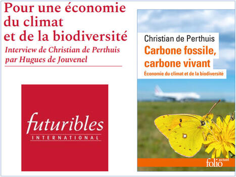 &laquo;&nbsp;Carbone fossile, carbone vivant&nbsp;&raquo; : Interview dans &laquo;&nbsp;Futuribles&nbsp;&raquo;, partie&nbsp;II | POLITIQUES ENVIRONNEMENTALES ET CLIMATIQUES, RSE, FINANCES "VERTES", INFORMATIONS GENERALES | Scoop.it