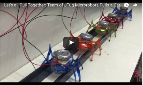 Modeled After Ants, Teams of Tiny Robots Can Move 2-Ton Car - NYTimes.com | Peer2Politics | Scoop.it