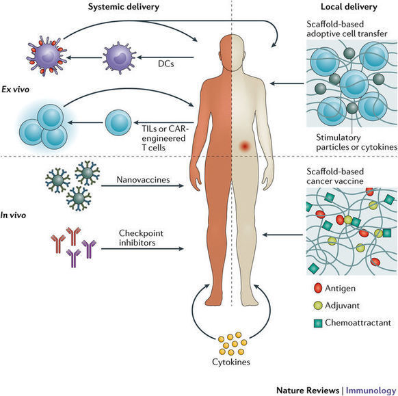 Cancer Immunotherapy Review Scoop.it