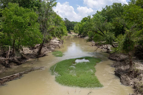 North Texas needs new reservoirs, water planners say. But plan faces stiff opposition | exTRA by the Trinity River Authority of Texas | Scoop.it