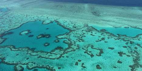 En vingt-cinq ans, la Grande Barrière a perdu la moitié de ses coraux | Biodiversité | Scoop.it