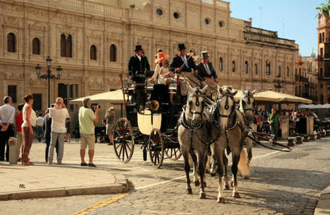 Los engaches de caballos vuelven a Sevilla en preferia | Caballo, Caballos | Scoop.it
