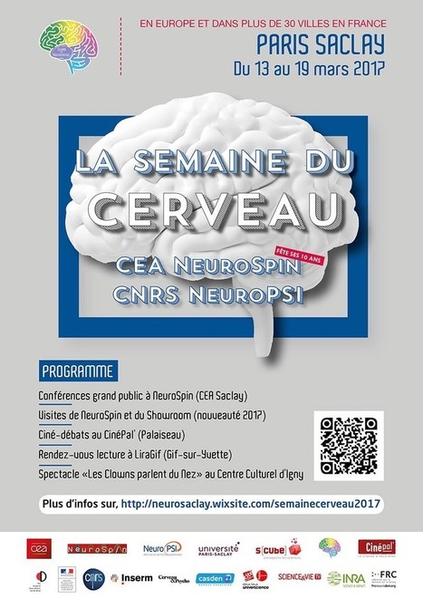 Discover NeuroSpin, a neuroimaging research center | Université Paris Saclay | Life Sciences Université Paris-Saclay | Scoop.it