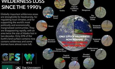 A tenth of the world's wilderness lost since the 1990s, study finds | Amazing Science | Scoop.it