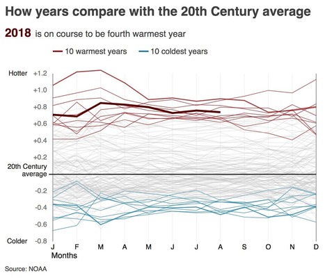 Final call to save the world from 'climate catastrophe' | TunstallGeog - Water and Carbon Cycles (AQA Geography A-level 3.1.1) | Scoop.it