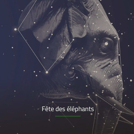 Chambéry | Un été show : "Le 1er Juillet, ce sera la Fête des Eléphants | Ce monde à inventer ! | Scoop.it