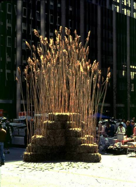 Roy Staab: Earthly Hay | Art Installations, Sculpture, Contemporary Art | Scoop.it