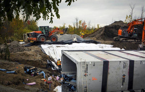Poursuite contre Ottawa pour forcer une décision en faveur de la rainette à Longueuil | Ils parlent de nous ! | Scoop.it