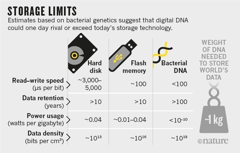 How DNA could store all the world’s data and more | Amazing Science | Scoop.it