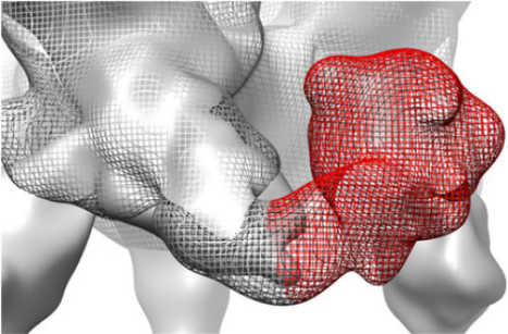 Trimeric HIV Env provides epitope occlusion mediated by hypervariable loops | Genetics - GEG Tech top picks | Scoop.it