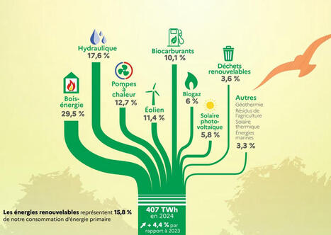 Énergies renouvelables : une part de 15,8% de la consommation d’énergie primaire française en 2024 | Actus du jour - 7 octobre 2025 | Scoop.it