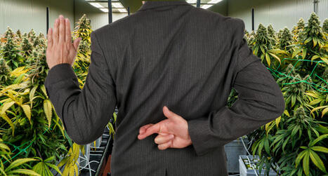 The Cannabis Rescheduling Ruse - White House Says No Action Planned on Cannabis Reform, Hate to Say I Told You So! | Cannabis.Net | Scoop.it