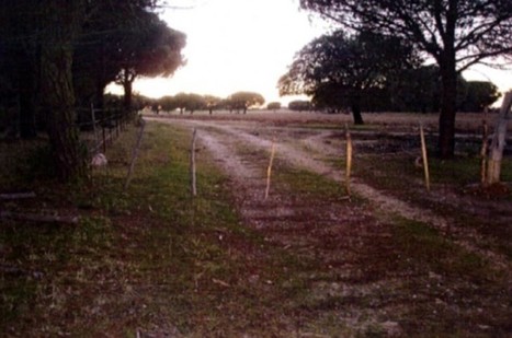 El juzgado obliga al dueño de la Dehesa de Penadillo a reabrir los caminos de Muelas a La Hiniesta y de Zamora a Palacios | Noticias sobre Caminos Públicos | Scoop.it