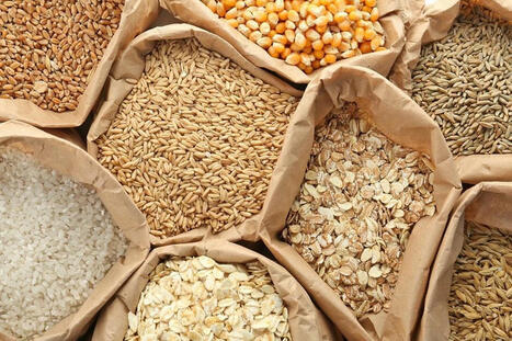 FAO Food Price Index up year-over-year, but drops from peak | World Grain | MED-Amin network | Scoop.it