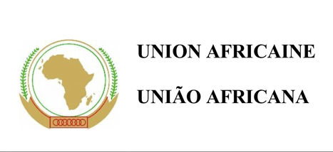 AU TERMS OF REFERENCE: THE PLAN OF ACTION FOR THE ACCELERATED INDUSTRIAL DEVELOPMENT OF AFRICA (AIDA) IMPLEMENTATION REVIEW | Africa's Development, Trade, Finance | Scoop.it