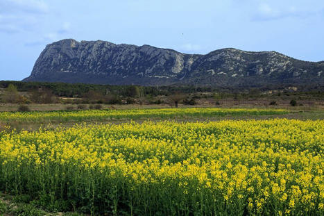 Hérault : le GR de Pays Grand Pic Saint-Loup reçoit le trophée de Grande Randonnée préférée des Français 2021 | Tourisme de randonnées                                                                                                                                                                                 & Sports de nature pour les pros | Scoop.it