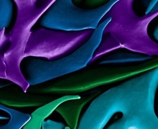 The Beautiful World of SciVis | random computing | Scoop.it