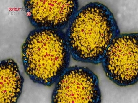 Hépatite C, l'essai clinique qui rend la foi | sida | Scoop.it