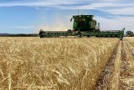 Australian farmers reaping the benefits of a cropping revolution despite drying climate - ABC News | Stage 5 Sustainable Biomes | Scoop.it