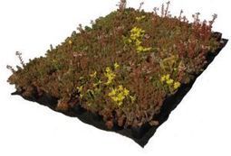 Gravi-PlaK : une plaque précultivée pour toit végétal de Siplast | Build Green, pour un habitat écologique | Scoop.it