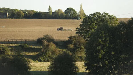 Plan d&rsquo;urgence : les mesures de soutien aux agriculteurs se concr&eacute;tisent dans tous les territoires | veille th&eacute;matique | Scoop.it