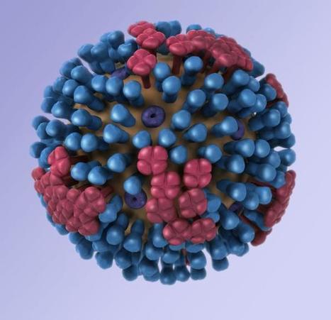 Influenza in Thailand: Disease incidence is 3 times higher than the 5 year median | Virology News | Scoop.it