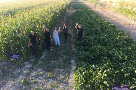 Scientists tap waste water for farmers affected by drought in Turkey - Daily Sabah | Gestion Durable des Ressources | Scoop.it