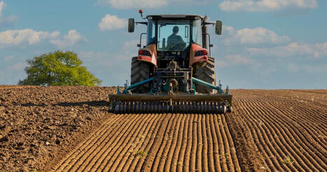 Agriculture : 2024 a été une année terrible pour la France, confirme l'Insee | Economie de l'Elevage | Scoop.it