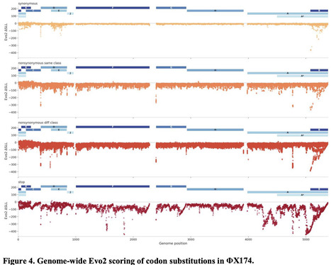The phage stress test: a proving ground for genome language models in biological prediction | brvai | RMH | Scoop.it