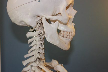 Patient Guide To Bone Growth Stimulation Call 915-850-0900 | Chiropractic + Wellness | Scoop.it