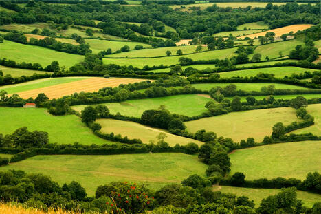 ARTICLE : Biodiversit&eacute; et agriculture : une alli&eacute;e indispensable pour produire durablement | Paysage - Agriculture | Scoop.it
