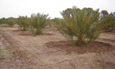 Coopération maroco-belge : La gestion de l'eau et de développement intégré à Zagoura - LE MATIN.ma | Gestion Durable des Ressources | Scoop.it