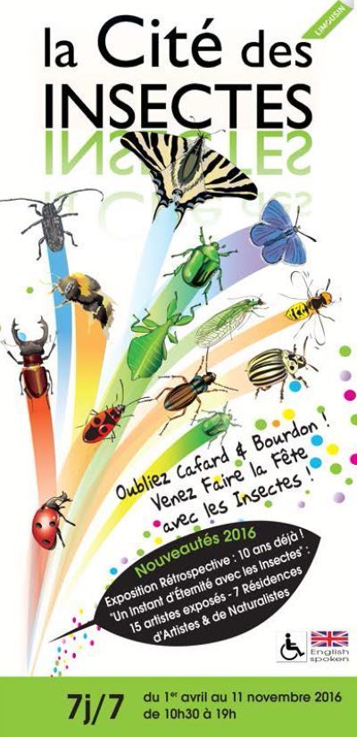 [Expo] "10 ans déjà ! Un instant d'éternité avec les insectes !" : Cité des Insectes à Nedde (87) | Variétés entomologiques | Scoop.it