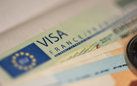 Immigration : les chiffres 2025 | Savoirs de base, Illettrisme, Illectronisme et int&eacute;gration par l'acc&egrave;s &agrave; la langue | Scoop.it