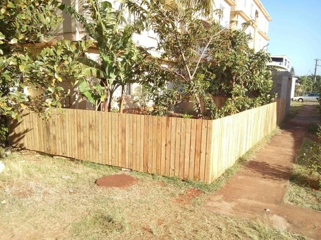 Backyard Pallets Fence | 1001 Pallets ideas ! | Scoop.it