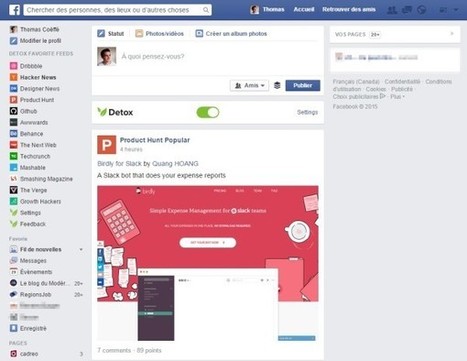 Detox for Facebook : pour transformer Facebook en outil de veille pour les professionnels du web | Réseaux et médias sociaux, veille, technique et outils | Scoop.it