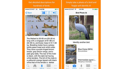L'application Twigle Birds reconnaît les oiseaux à votre place - Numerama | Biodiversité | Scoop.it