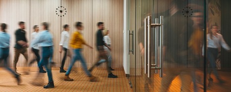 La mont&eacute;e en puissance des agents contractuels : une fonction publique en mutation | Enqu&ecirc;tes, &eacute;tudes et rapports | Scoop.it